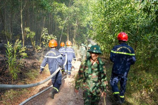 Hơn 300 người xuyên đêm dập cháy rừng ở Huế
