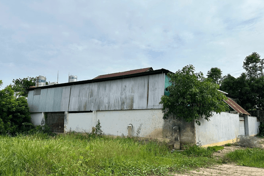 Nguyên hiệu trưởng bị kiện vì chiếm đất trường học