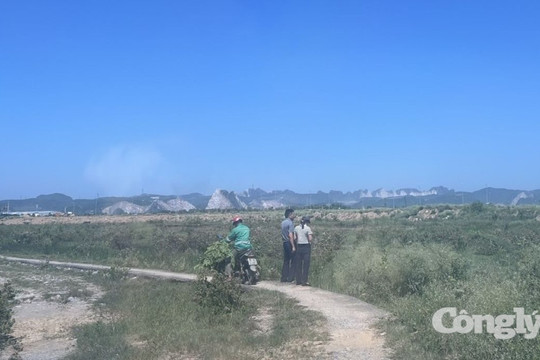 Đầu tư tuyến đường 3.500 tỷ đồng nối cao tốc Bắc - Nam với đường Hồ Chí Minh