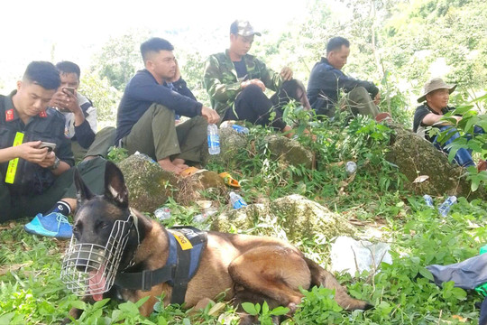 Hơn 100 người tìm cháu trai khuyết tật mất tích nhiều ngày