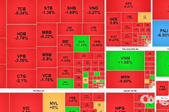 Chứng khoán phiên sáng 22/7: VN-Index chờ lực cầu tại vùng hỗ trợ