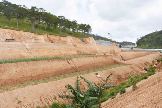 Lâm Đồng siết quản lý rừng, ngăn chặn lấn chiếm đất lâm nghiệp