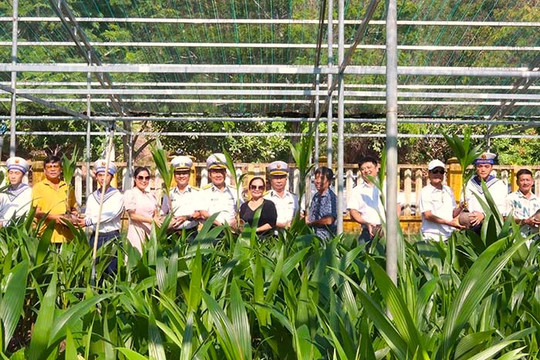 8.000 cây dừa được trao tặng cho Chương trình "Xanh hóa Trường Sa"