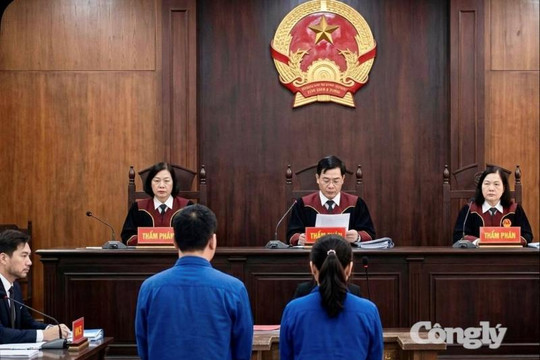 Được nhạc phụ giao giữ sổ đỏ, rể quý lên Zalo đặt làm giả rồi… bán tuốt