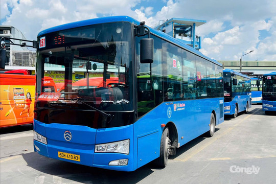 TP.HCM: Xe buýt hút khách, sản lượng tăng gần 40% sau 1 tháng