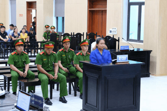'Xúc phạm Quốc kỳ', nữ bị cáo lĩnh án