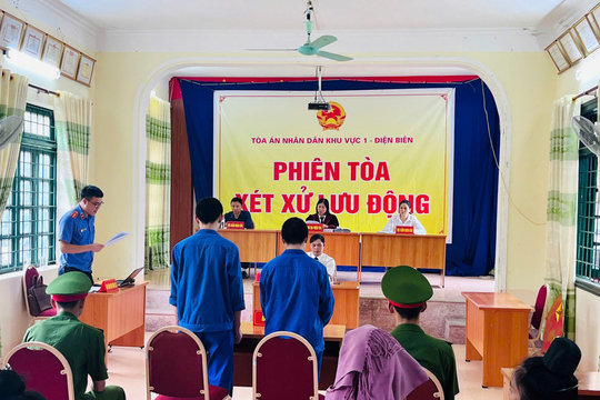 Lĩnh án vì rủ nhau góp tiền mua ma túy về sử dụng