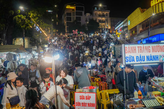 Lâm Đồng tăng cường quản lý người lang thang, xin ăn