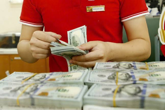 Tỷ giá ngoại tệ ngày 31/7: Giá USD ngân hàng duy trì dưới vùng 26.500 đồng/USD