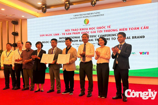 Đà Nẵng thúc đẩy hợp tác quốc tế phát triển Sâm Ngọc Linh