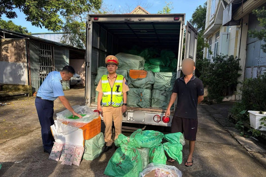 Ngăn chặn 1,7 tấn thực phẩm đông lạnh không rõ nguồn gốc