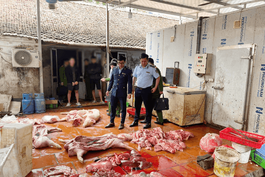 Chuyển cơ quan điều tra vụ gần 1 tấn thịt lợn nghi nhiễm dịch tả lợn châu Phi