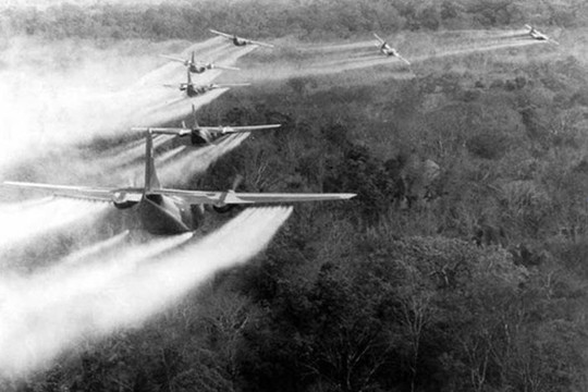 Khi thời gian không thể xóa nhòa nỗi đau da cam Bài 1: Màu xanh tái sinh nhưng vết thương chưa lành