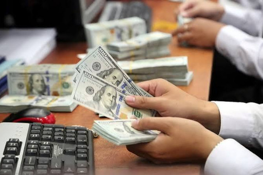Tỷ giá ngoại tệ ngày 5/8: Giá USD ngân hàng nhích nhẹ