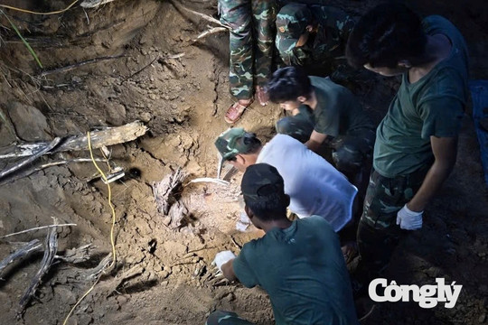 Đà Nẵng: Phát hiện nhiều di vật và đoạn xương nghi của liệt sĩ trong hầm trú ẩn