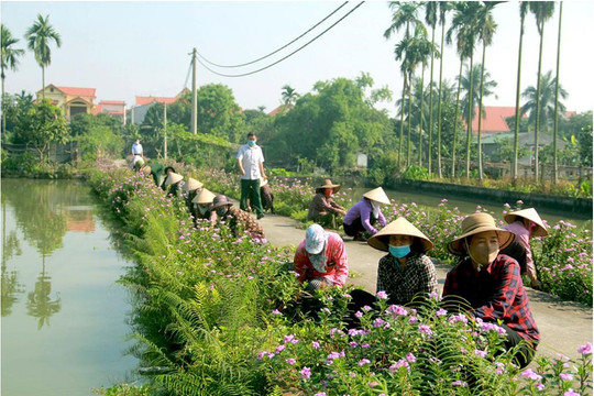 Quảng Ninh hướng tới xây dựng nông thôn hiện đại, đáng sống