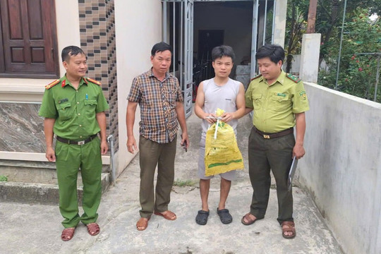 Giao nộp rắn hổ chúa quý hiếm cho cơ quan chức năng