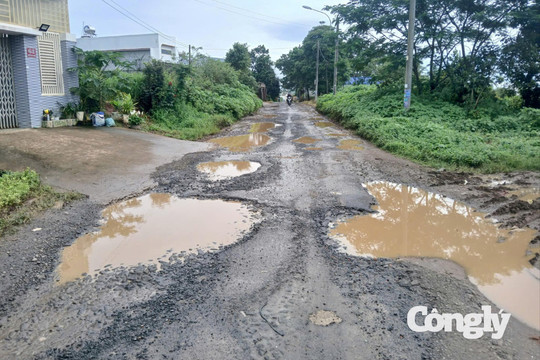 Gia Lai: Đường đầy “ổ voi, ổ gà”, phường lên phương án làm gấp