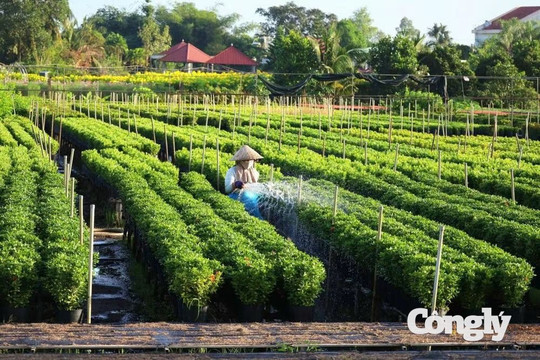 Đồng Tháp xây dựng nền nông nghiệp sinh thái, nông thôn hiện đại