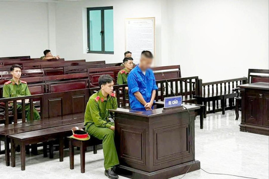 Thuê 2 ô tô tiền tỷ, làm giả giấy tờ mang đi cầm cố