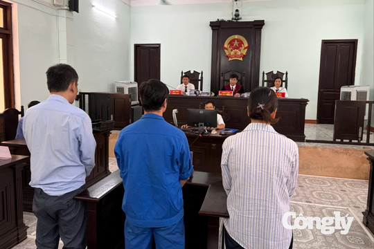 Nhận hối lộ để làm ngơ vi phạm, 3 cựu cán bộ phường hầu tòa