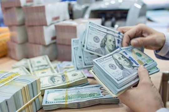 Tỷ giá ngoại tệ ngày 7/8: Đồng USD trong nước giữ vững vùng 26.420 đồng/USD