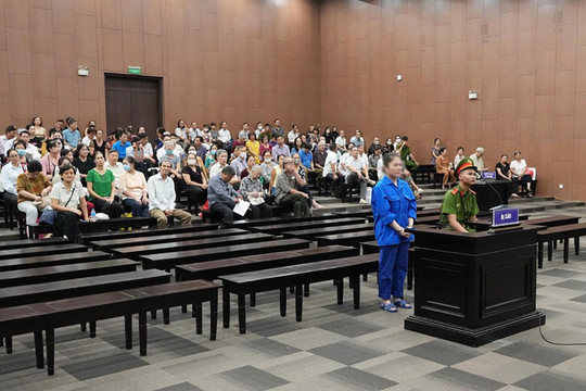 Cựu Chủ tịch Tập đoàn Mỹ Hạnh lừa góp vốn trồng sâm, chiếm đoạt hơn 194 tỷ đồng