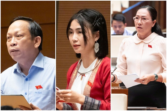 ĐBQH: Giảm tiền kiểm, phải tăng hậu kiểm thực chất