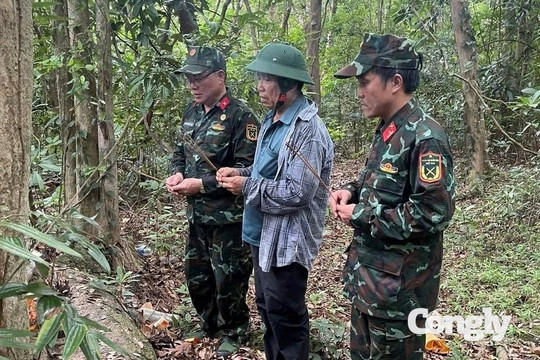 Tìm kiếm hơn 10 liệt sĩ Đội phẫu 5 tại dãy Hòn Tàu