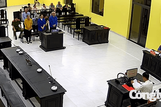 Cựu Giám đốc Sở TN&MT Bạc Liêu nhận 4 năm tù trong vụ án liên quan tới AIC