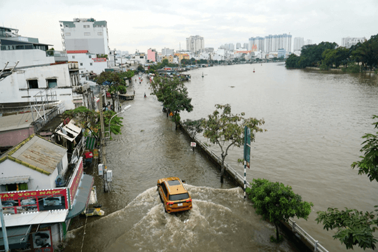 Triều cường dâng cao, nhiều vùng ven biển nguy cơ ngập