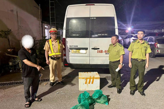 Phát hiện 3 cá thể cầy vòi hương giấu trong thùng xốp