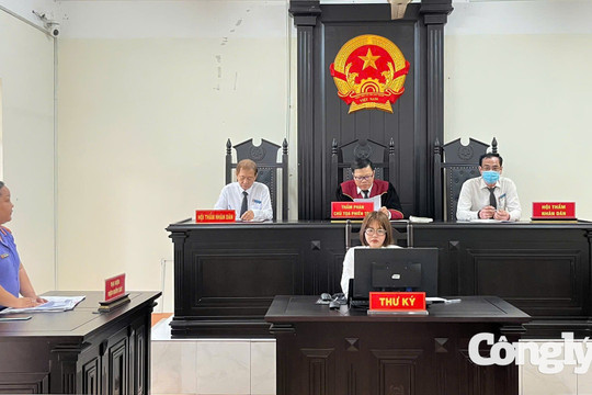 Vụ án dân sự công ích: Thêm cơ chế bảo vệ người yếu thế