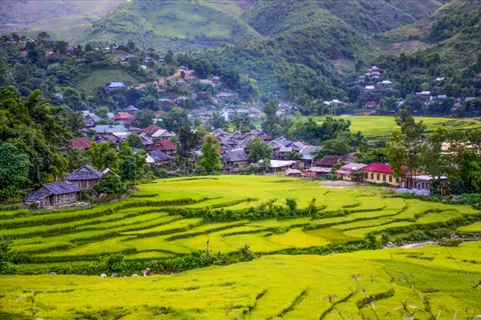 Điện Biên tạo lực đẩy cho nông nghiệp hàng hóa