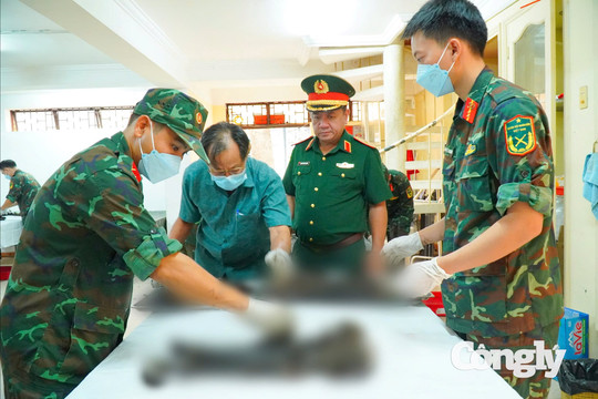 TP.HCM hoàn thành lấy mẫu sinh phẩm tại 18 nghĩa trang