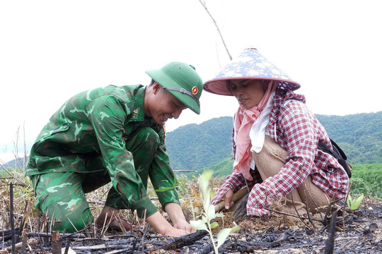 Trao 135.000 cây keo giống hỗ trợ người dân vùng cao A Lưới