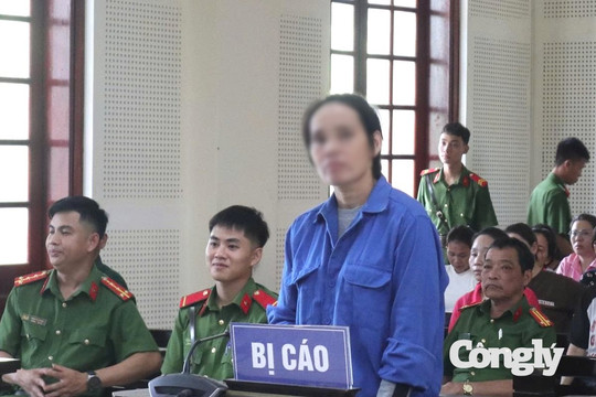Lĩnh án vì đăng tải, phát tán thông tin sai sự thật