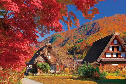 Shirakawa-go: Ngôi làng cổ mái tranh đẹp như trong cổ tích