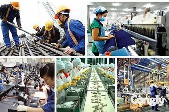 Đồng Tháp chủ động hội nhập, mở rộng không gian phát triển
