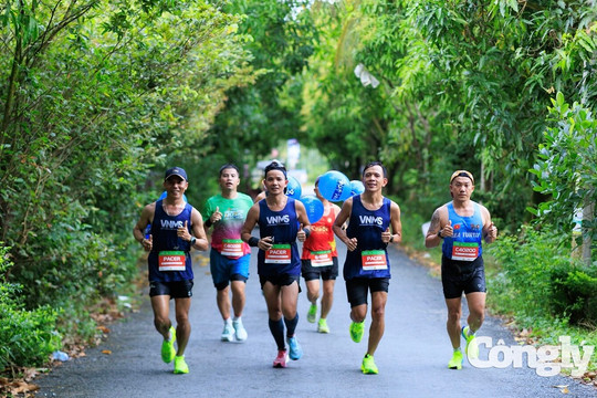 Giải chạy âm nhạc VPBank Đất Sen Hồng Marathon 2026 sắp diễn ra