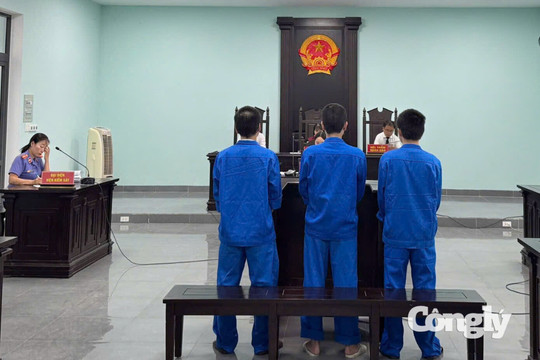 Rủ nhau mua ma túy để sử dụng, cả hai cùng lĩnh án