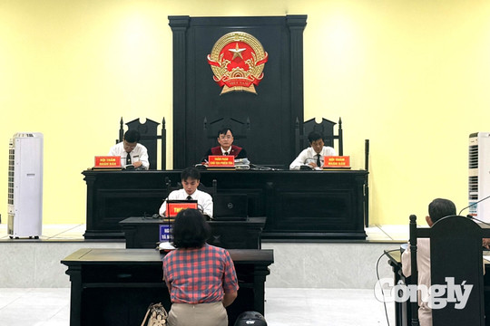 Hòa giải trước, hay thu thập chứng cứ trước?