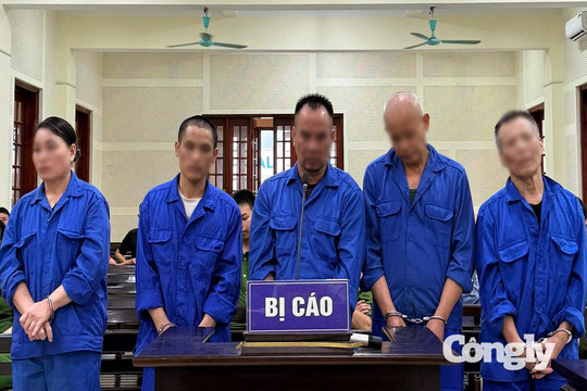 Cái giá của những phi vụ ma túy tiền tỷ