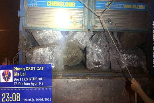 CSGT Gia Lai phát hiện xe chở gỗ không có hóa đơn, nguồn gốc hợp pháp