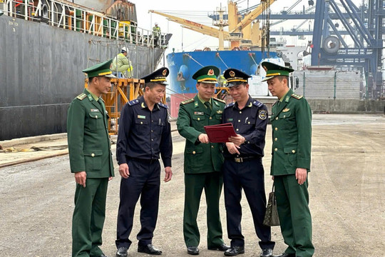 Từ 80.830 tờ khai, hải quan “lọc” những lô hàng có dấu hiệu bất thường