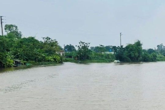 Phát hiện thi thể phụ nữ trên sông Lèn