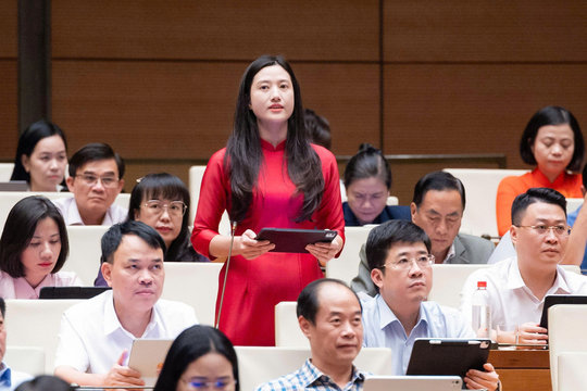 ĐBQH đề nghị mở rộng diện hỗ trợ nhà ở cho vùng dân tộc thiểu số, biên giới