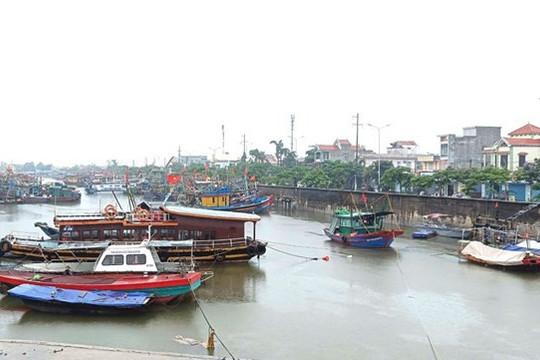 Hải Phòng cấm biển từ 7h sáng 22/8 để ứng phó bão số 4