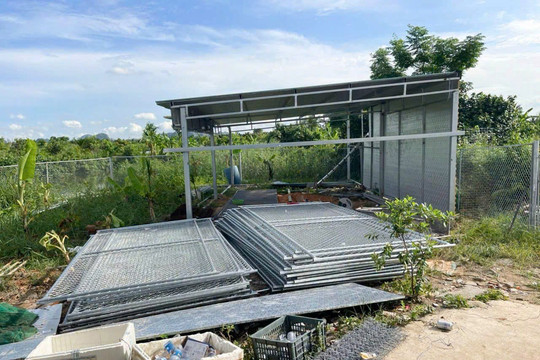 Cảnh báo hành vi dựng tài sản để trục lợi bồi thường