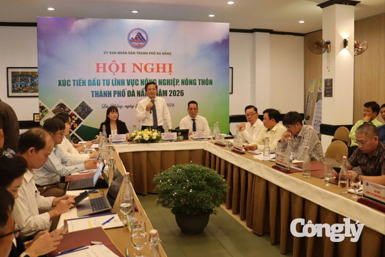 Đà Nẵng biến lợi thế đất, rừng, biển thành chuỗi giá trị mới